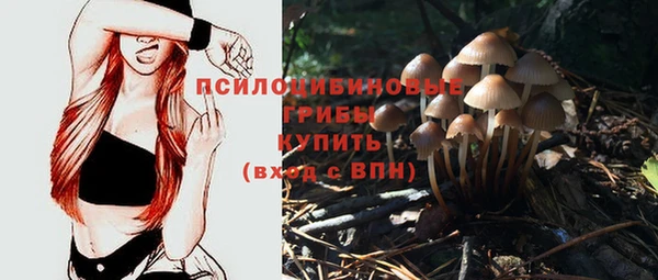 стафф Вязники